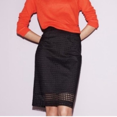 Skirt Size 2