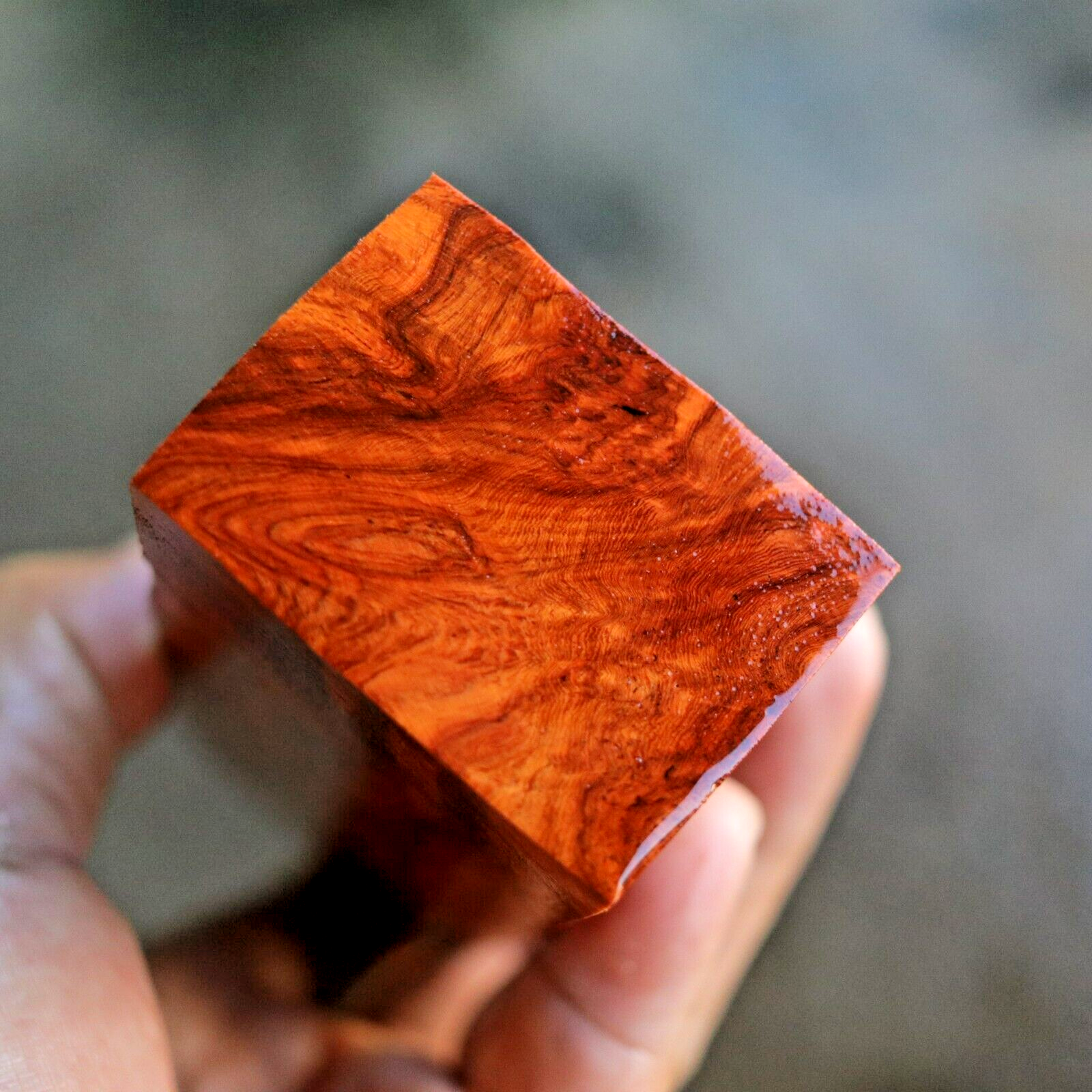 Amboyna Burl, Knife Handle Blank Turning, Exotic Wood 1 7/8"x 5"x 1 3/8" #392 Amboyna Burl, Knife Handle Blank Turning, Exotic Wood 1 7/8"x 5"x 1 3/8" #392