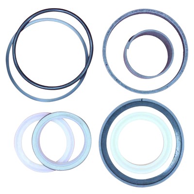 Fits Case 1543260C1 Hydraulic Cylinder Seal Kit