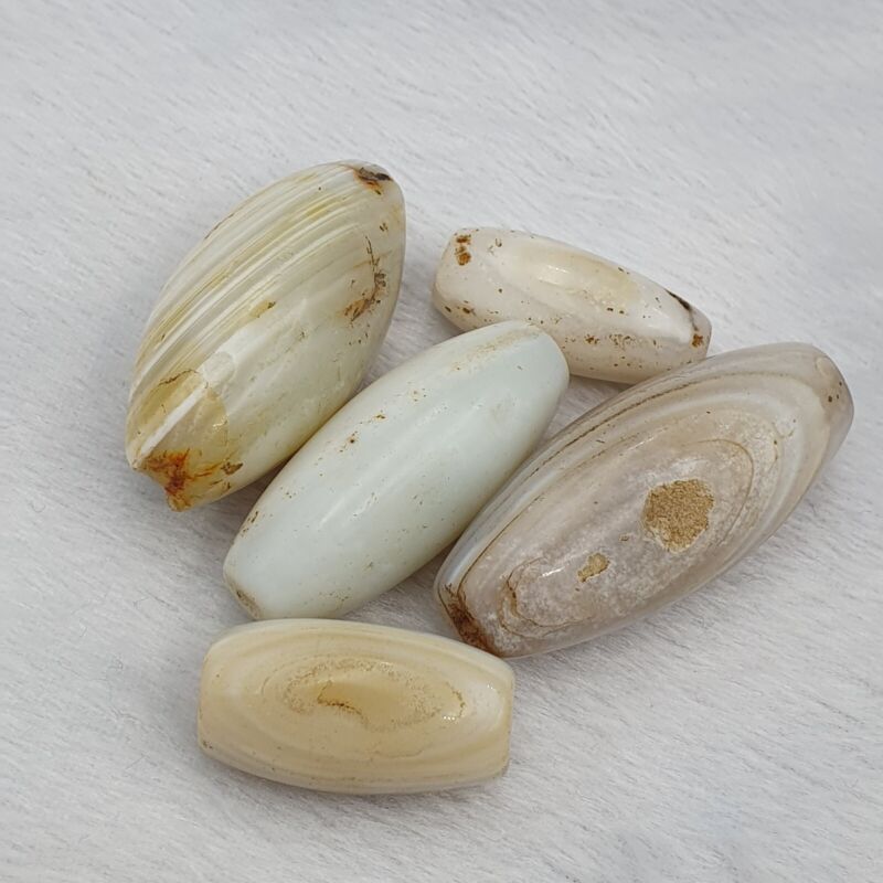 Lot 5 Antique Ancient Old Safavid Soleimani Agate Bead White Agate beads SL032