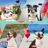 PETLESO Dog Goggles Sunglasses for Large Breeds - 2PCS Black and Clear UV Protection Set, Windproof Eye Wear for Medium to Large Dogs, Ideal for Riding/Driving/Hiking