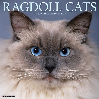 Ragdoll Cats 2025 12'' x 12'' Wall Calendar (free shipping)