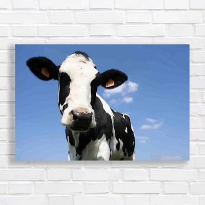 Lazy Cow Enjoy The Serene Sky Canvas Print Large Picture Wall Art