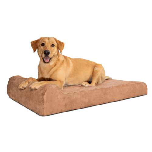 . The Big Barker For Small And Medium Dogs.