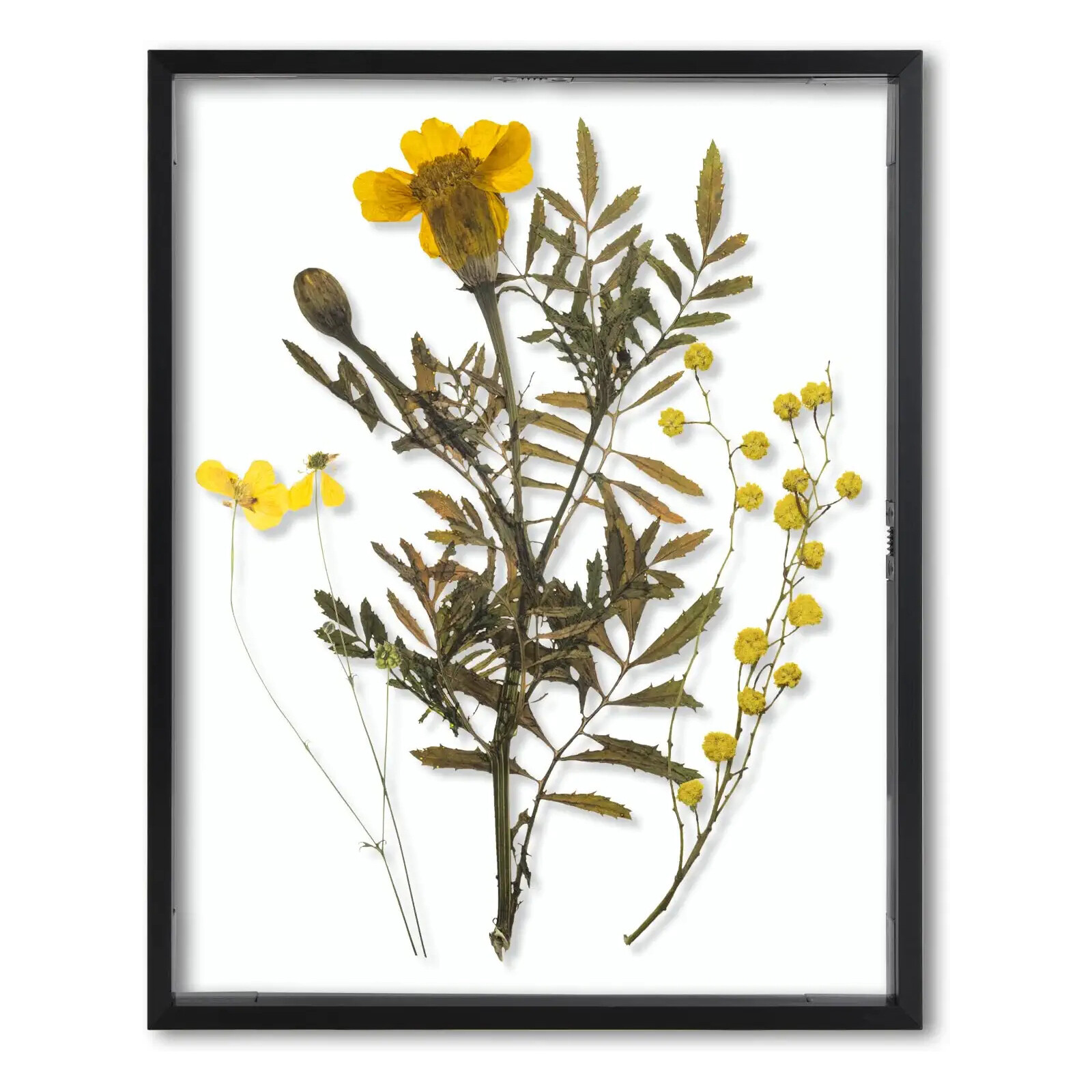 Aluminum Metal Floating Picture Frame Real Glass Pressed Flower Photo Art