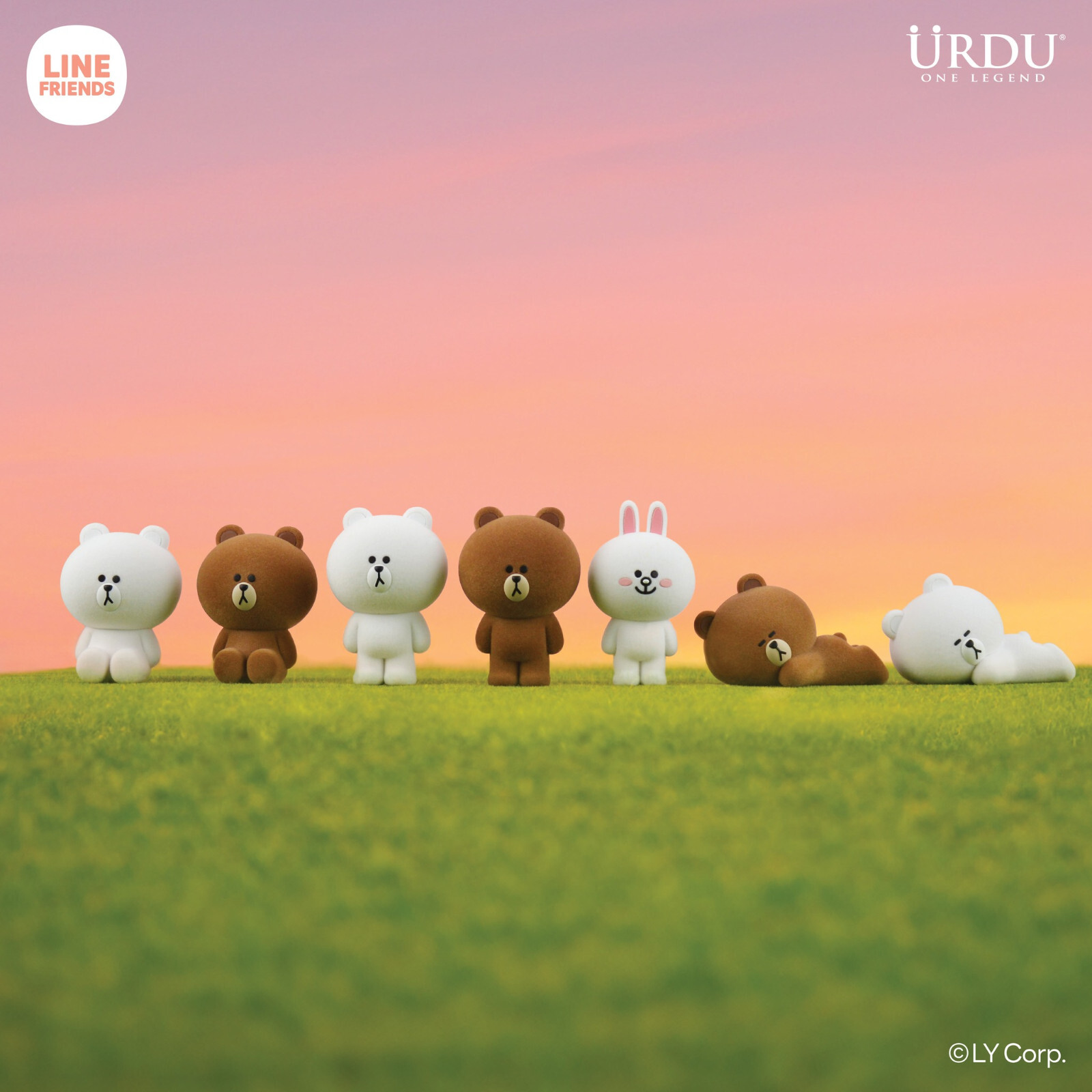 Line Friends meets URDU FLOCKING ライン Line Friends Meet URDU Flocking Series Brown Set Of 6 Pcs w