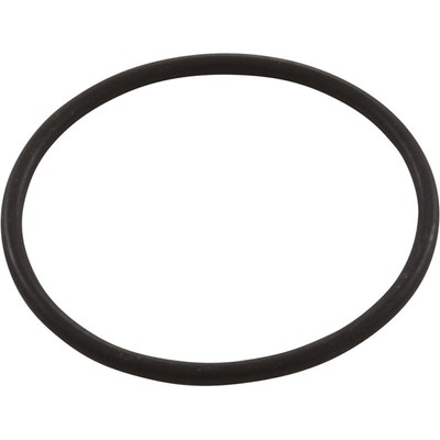 O-Ring, Buna-N, Astral, Astramax Pump, Strainer Union
