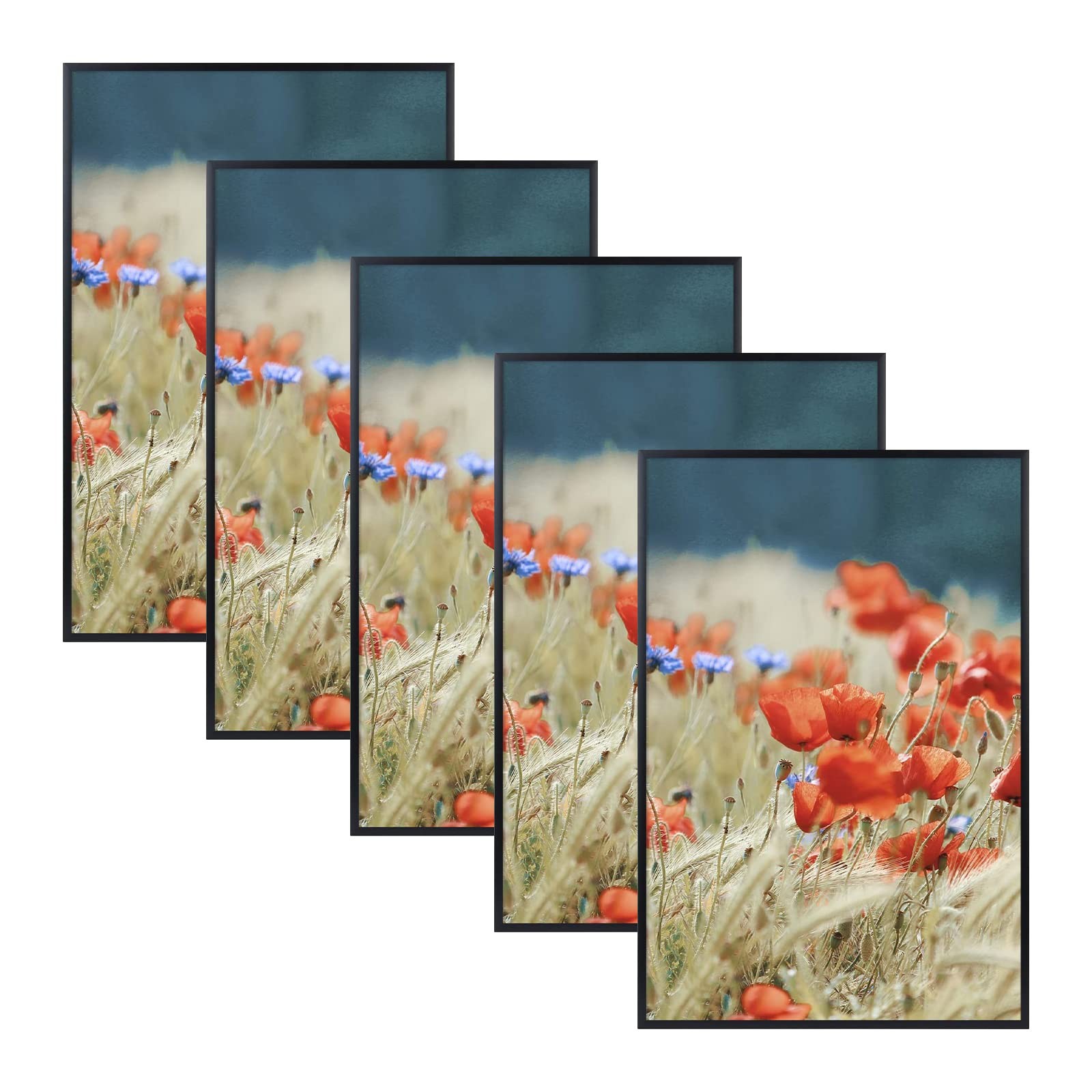6 Pack 12x18 Black Aluminum Metal Poster Picture Frame Acrylic Front Gallery