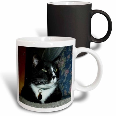 3dRose black tuxedo cat sitting down  Mug