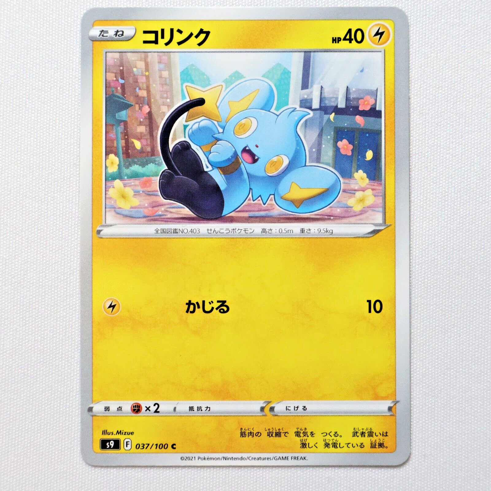 s9 037/100 Shinx Pokemon Card TCG Japanese NM | eBay s9 037/100 Shinx Pokemon Card TCG Japanese NM | eBay