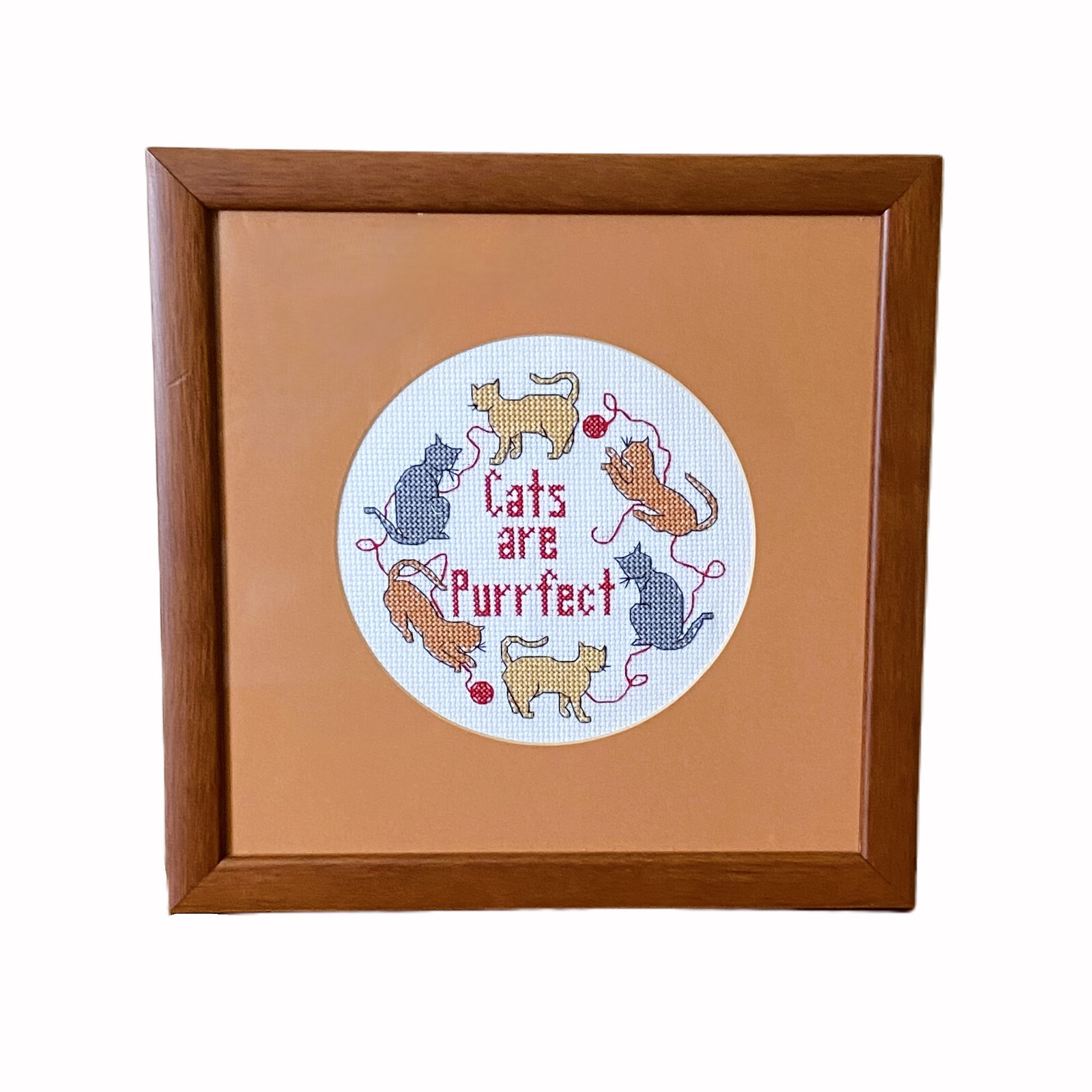 Purrfect Stitches Crafty Cats Purrfect Stitches Crafty Cats