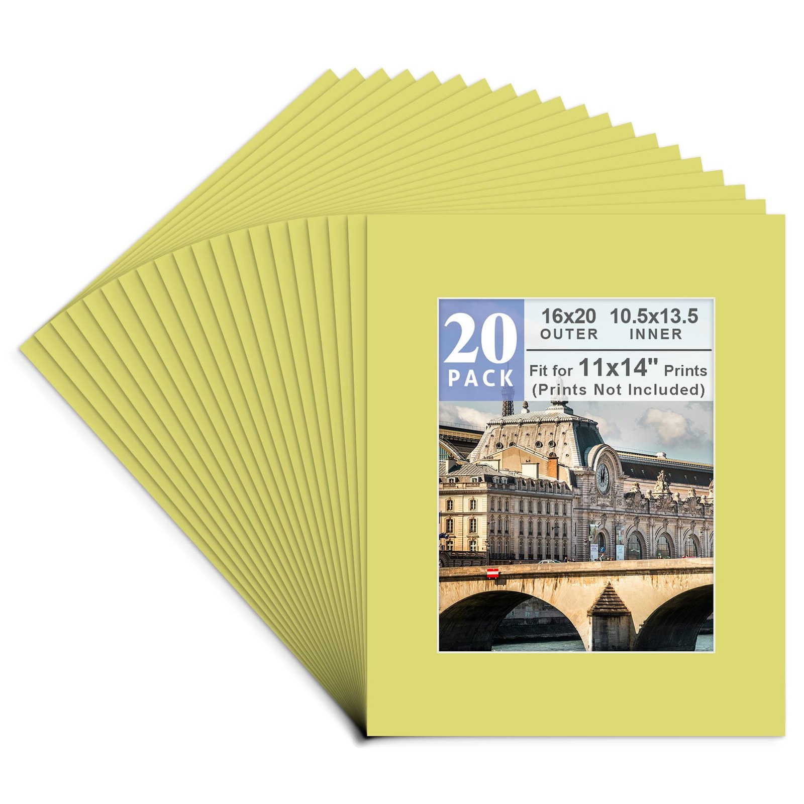 Pack of 20, Acid Free 16x20 Frolic Color Picture Mats Mattes with White Cor...