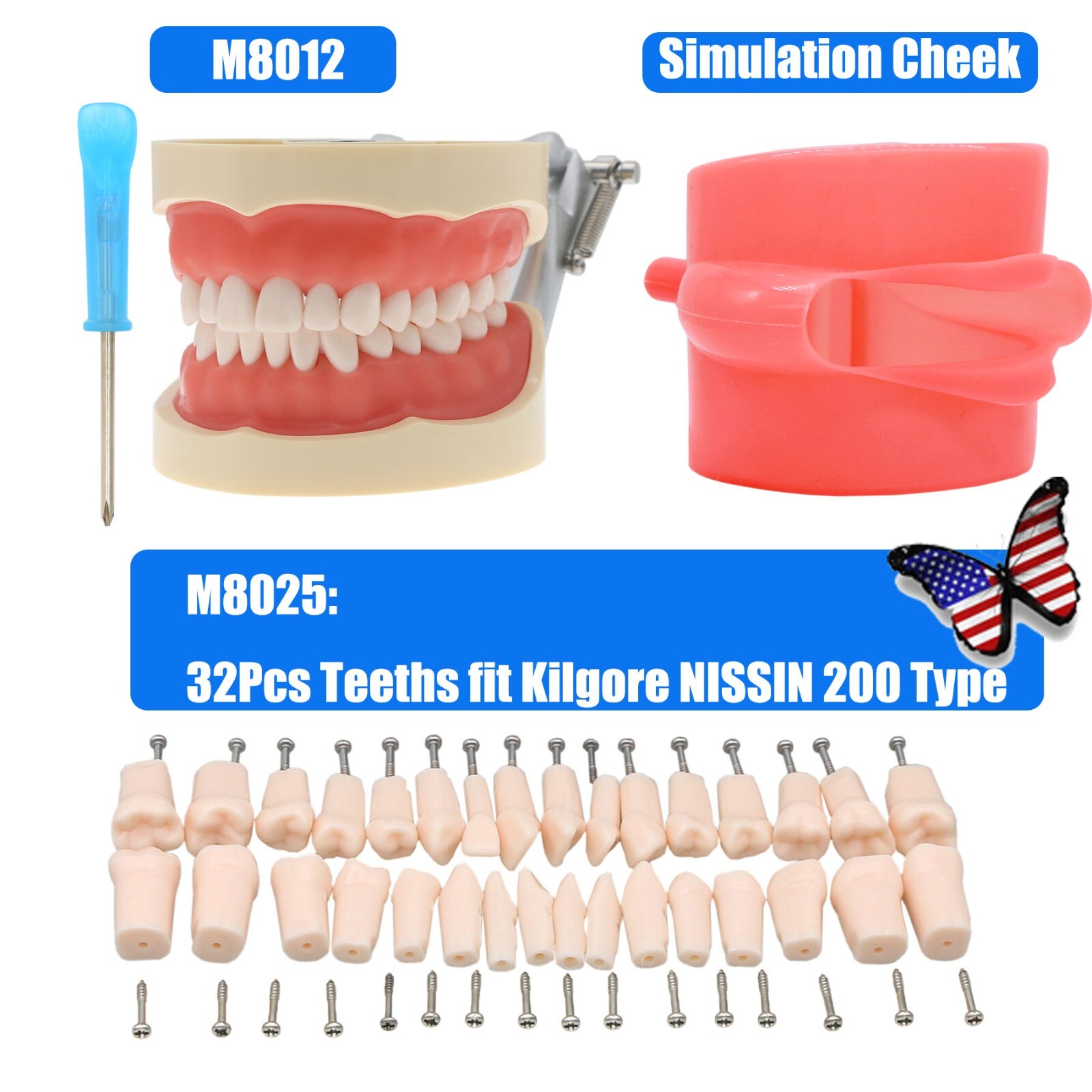 その他 NISSIN DENTAL MODEL Nissin Dental Model | Asian Medicos Enterprise