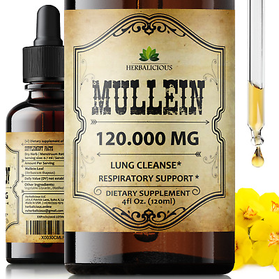 Mullein Leaf 4oz Extract - Promoting Lung, Respiratory & Digestive Wellness