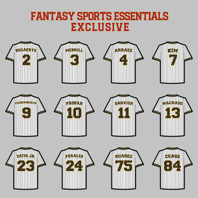 San Diego Padres 2024 Home Jersey Magnets
