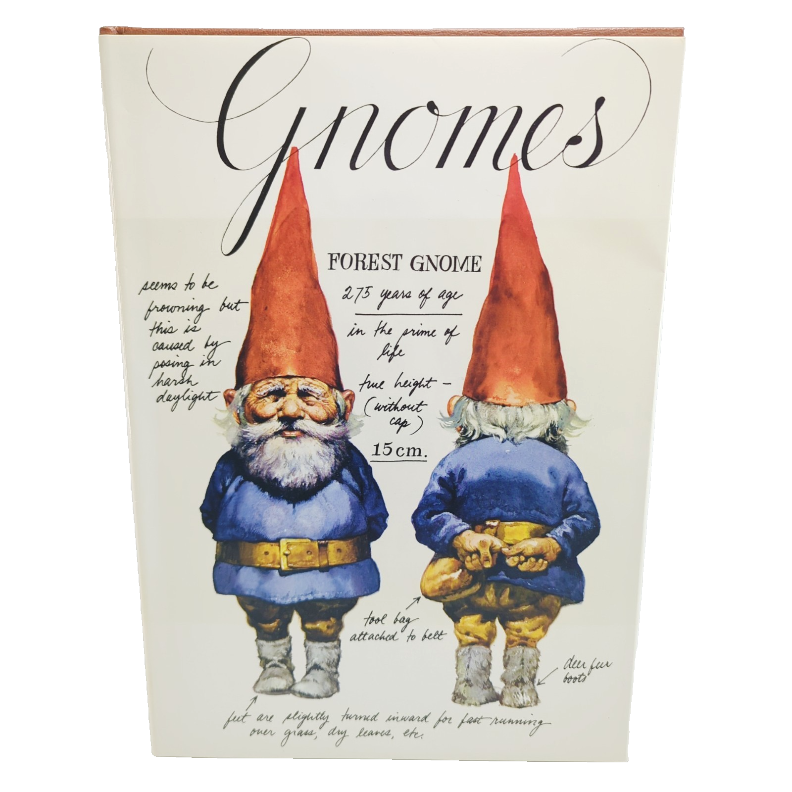 Gnomes by Rien Poortvliet, Wil Huygen