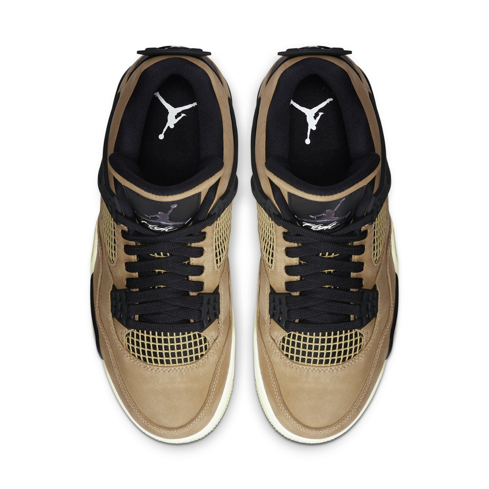 aj4 fossil