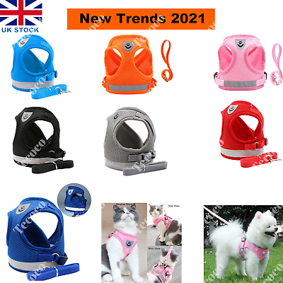 Cat harness cheap pet stock