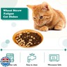 Gerrii 6 Pieces Shallow Cat Food Dish, Whisker Friendly, Lightweight, 6 Inch Wheat Straw Bowls, Suitable for Small Cats