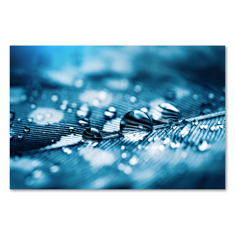 Postereck 3865 Poster Leinwand Wassertropfen, Blatt Natur Regen Blau Wasser