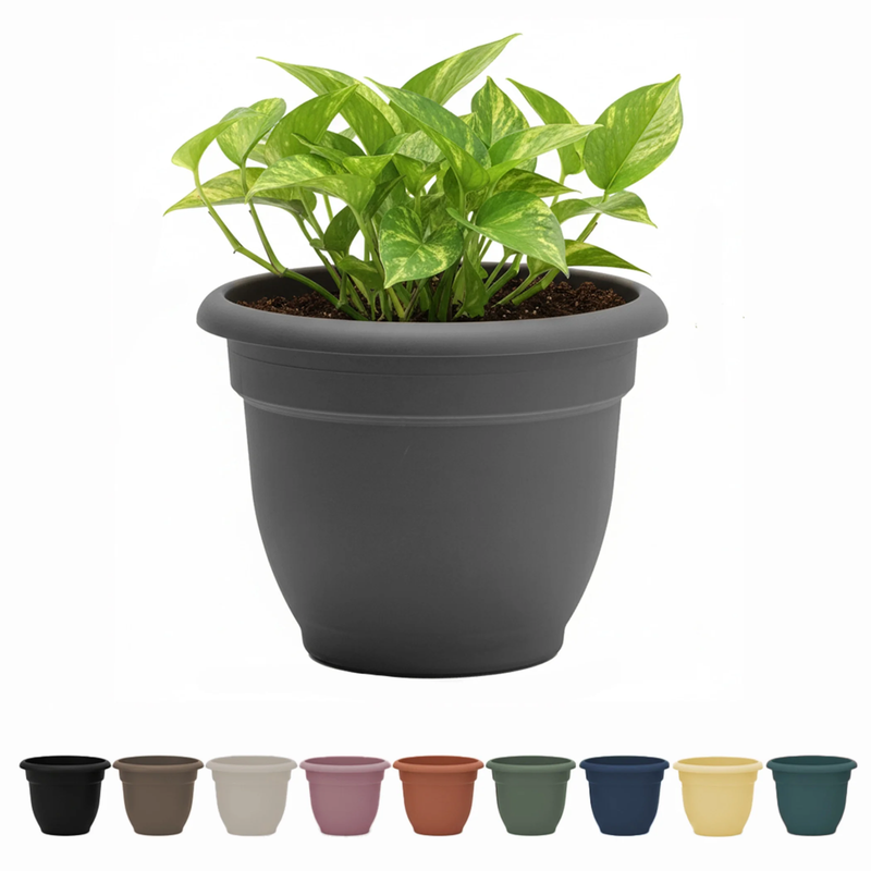 Ariana 16" Self-Watering Plastic Planter - Rolled Rim Indoor/Outdoor Garden Pot,