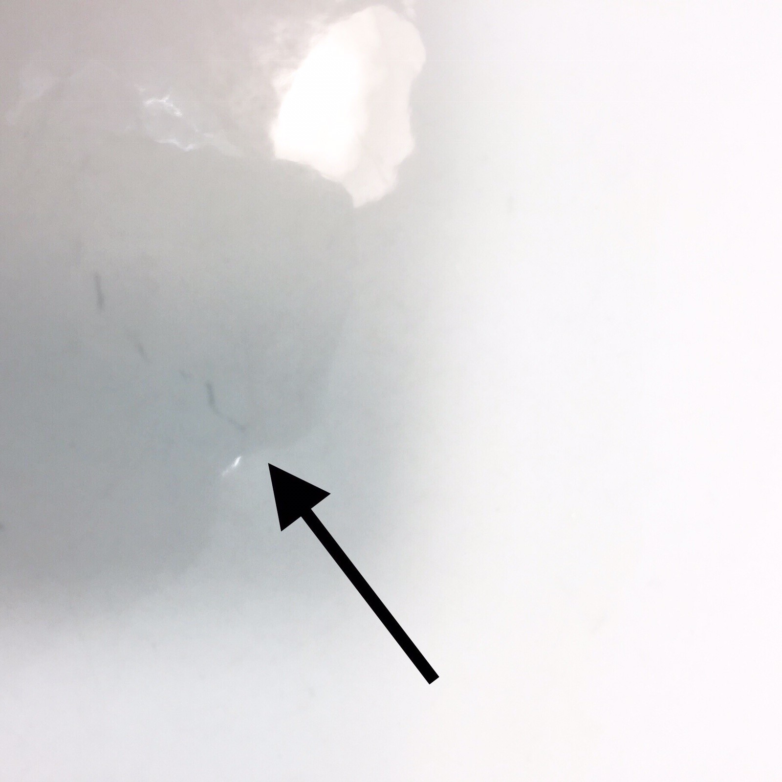 4 Vintage Royal China Dinner Plates Royal Ironstone Blue Brown Retro Pattern