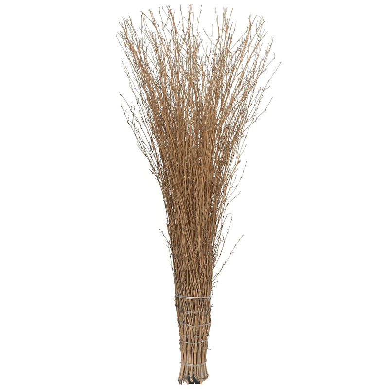 Bambusbesen, Stallbesen, Bambusreisig, Reisigbesen Mit Kunststoff-Stielaufnahme