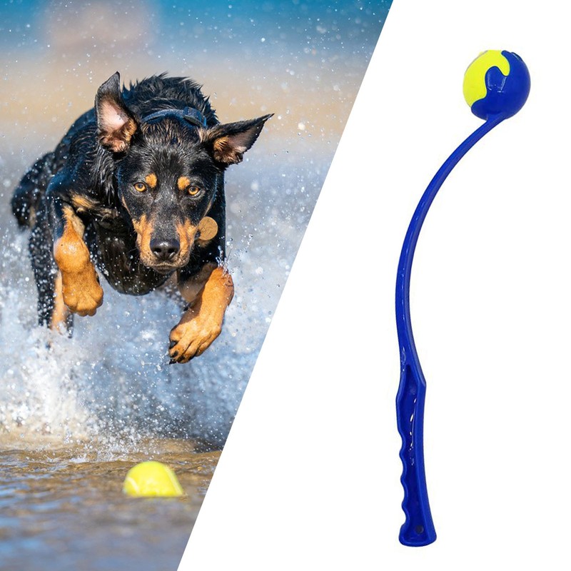 PawHut Pet Agility Training Equipment Dog Play Run Jump (Poles + Hurdle + Tunnel