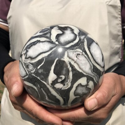 3150g Natural Beautiful Shell Energy Magic Ball Reiki Stone Healing