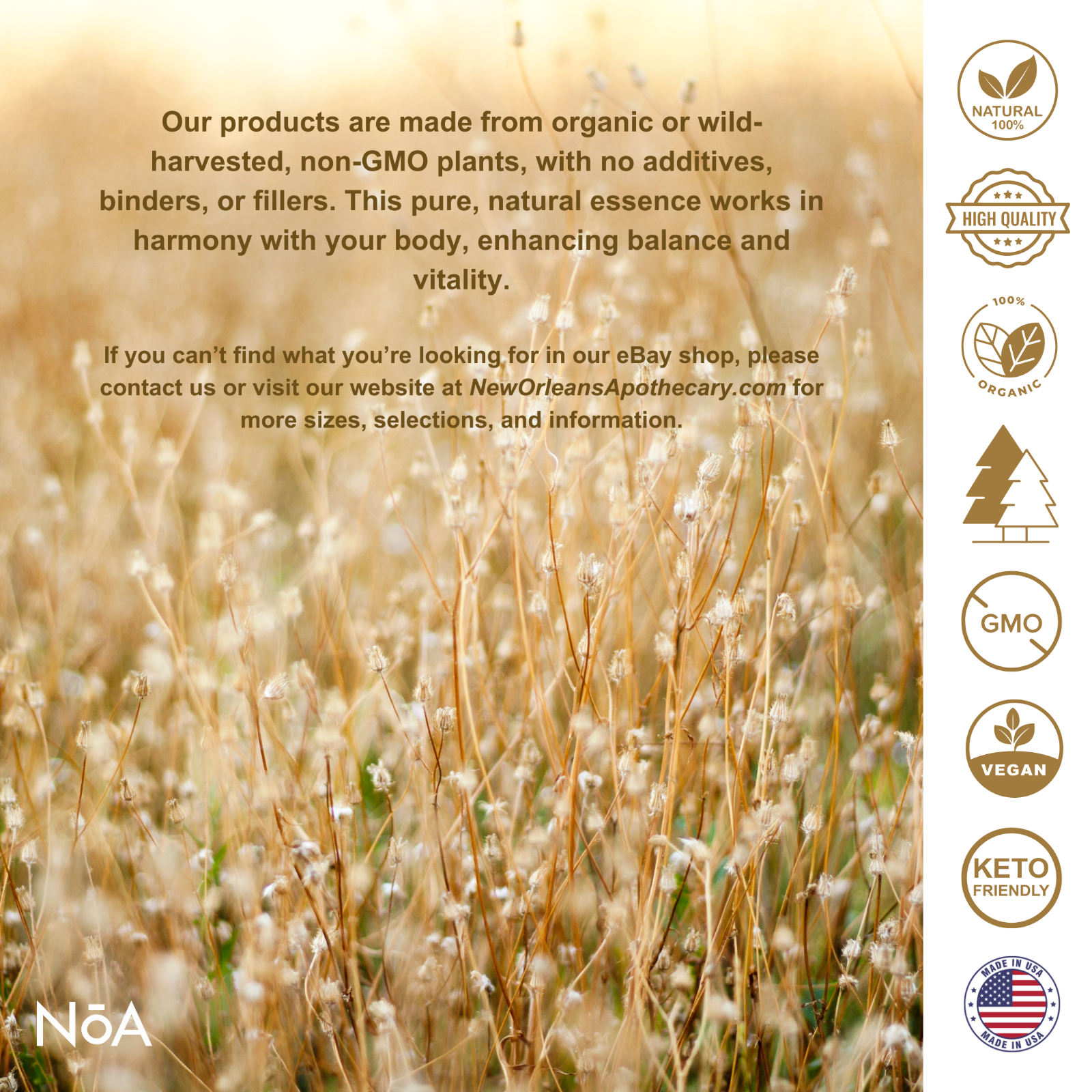 Comfrey Oil | Organic | Lemon Balm + Coconut Oil | High Potency