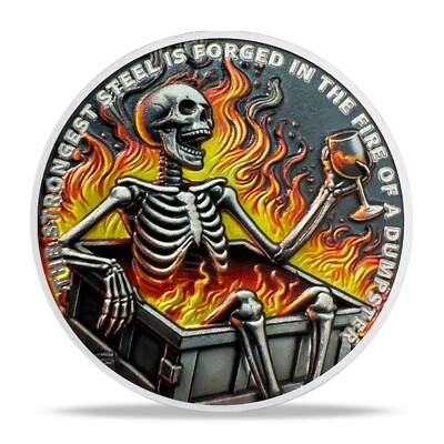 Diy Funny Skeleton Dumpster Fire Challenge Coin AA Sobriety Coin Recovery Chips