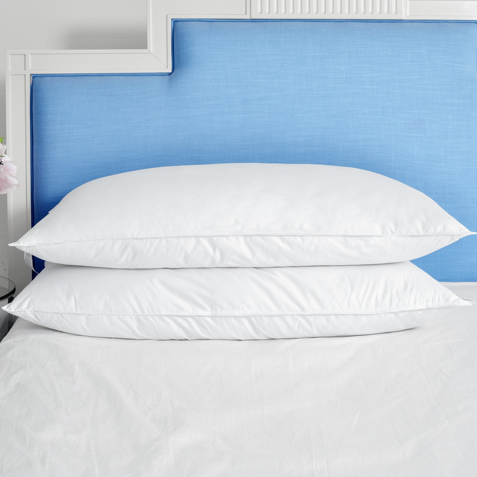 Puredown Set of 2 Waterfowl Feather Bed Pillows Natural ...