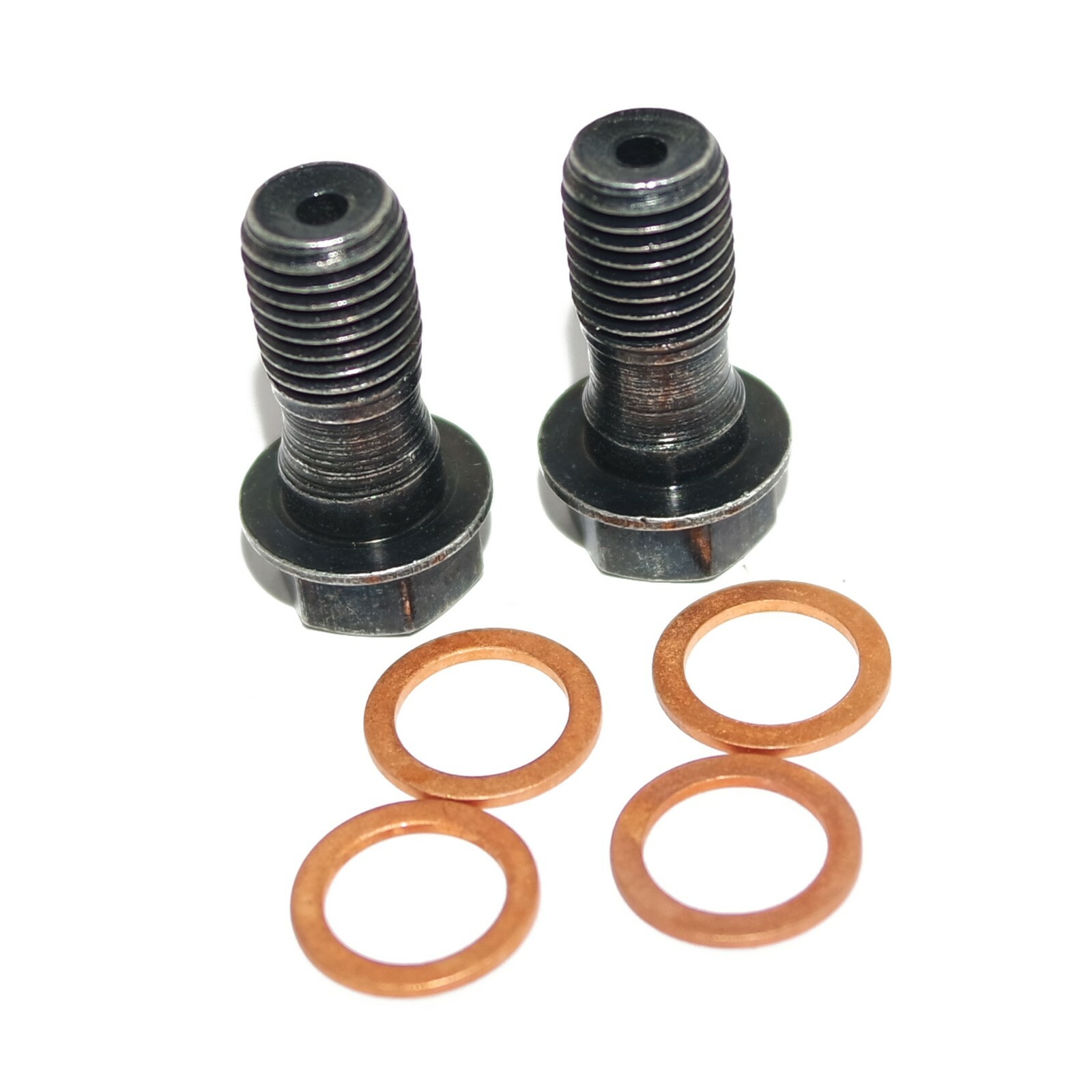 Rear Brake Hose Assembly With Banjo Bolt Kit For ROYAL ENFIELD HIMALAYAN 