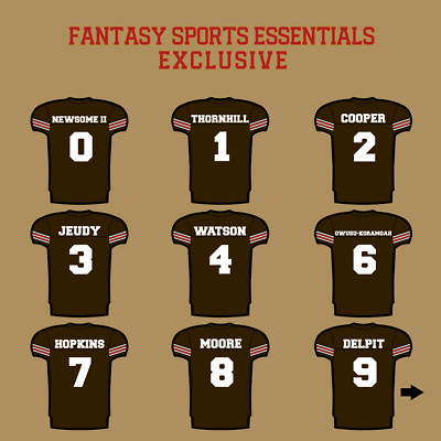 Cleveland Browns 2024 Home Jersey Stickers