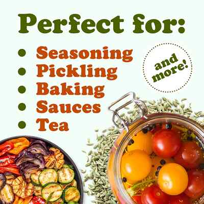 Fennel Seeds – Kosher, Raw, Vegan – by Food to Live