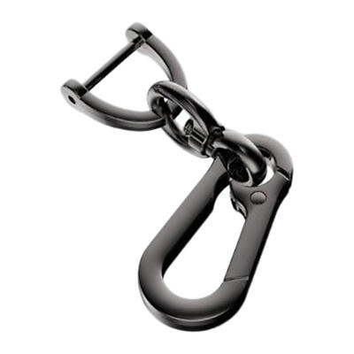 2pcs D Ring Keychain Car Horseshoe Keychain Detachable Key Clip Stainless