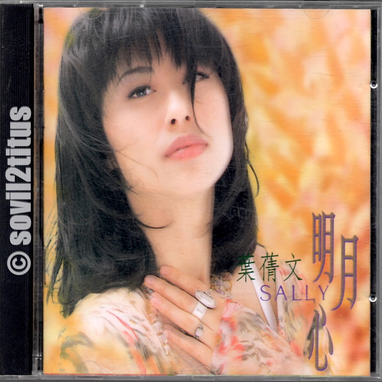 ■ 希少 ・1988 葉蒨文 Sally Yeh /祝福 葉蒨文– 祝福– Vinyl (LP, Album, Stereo), 1988 [r10546610