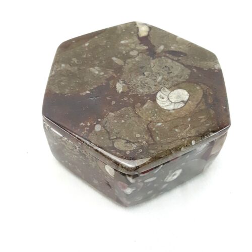 Orthoceras Ammonite Fossil Jewelry Trinket Box Hexagon Gemstone Storage 3.75"