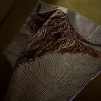 Foto dell'oggetto di un acquirente verificato