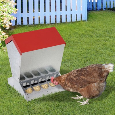 Agriculture Forestry Chicken Feeder
