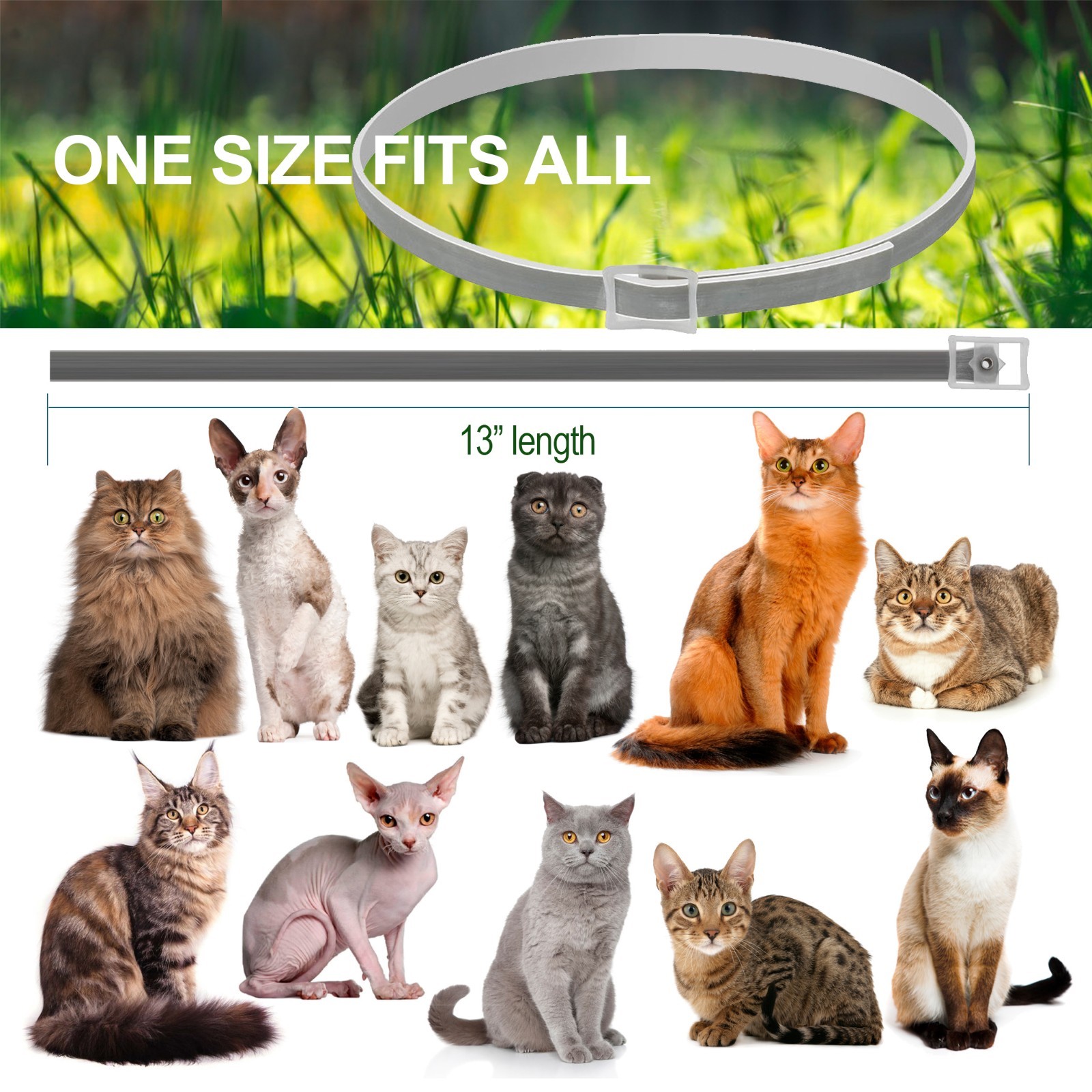 Flea And Tick Collar For Cats - 8 Months Protection - One Size Fits All - Large