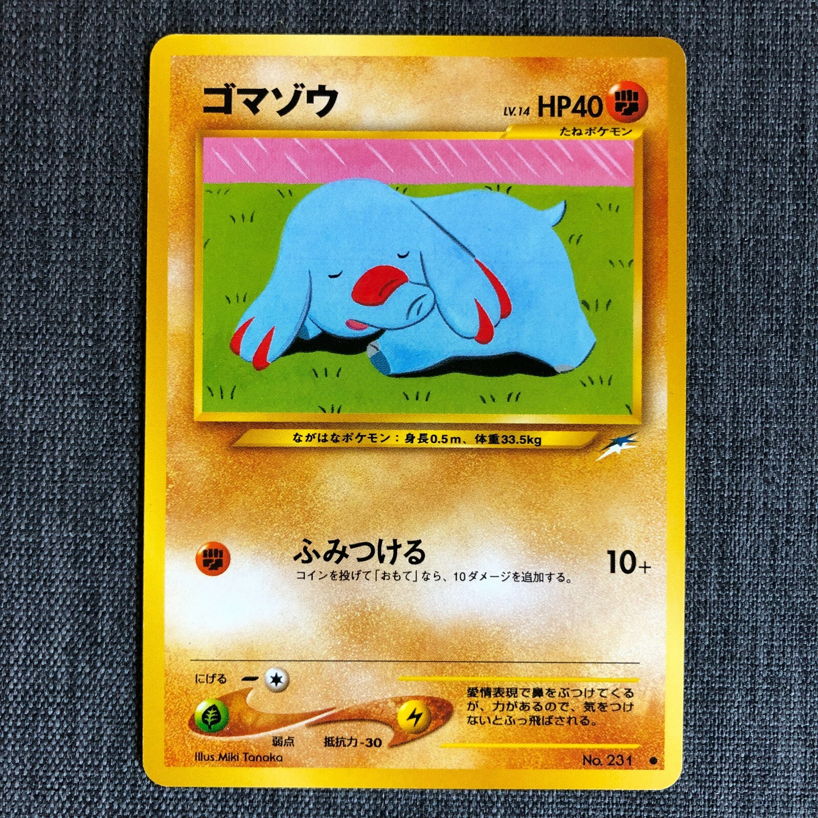 25RP1【1枚】パーフェクトペテンシー 1 25RP1【1枚