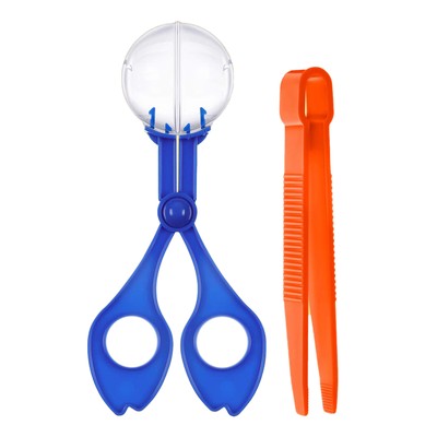 Nature Exploration Toy Concentration Cognitive Ability Plastic Scissor Clam Blue