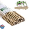 Plant Bamboo Post,4Feet,Bamboo Garden Stakes,50PcsBamboo Stakes,for Tomato,Beans,Vegetable and Flowers, Potted Plants,Indoor and Outdoor Climbing Plants