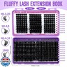 RITALASH Cluster Lashes 460PCS 4 Style Lash Clusters Eyelash Extensions False Eyelashes DIY Wispy Lash Extension Natural Look Individual Lashes(WL Style+150D lash only)