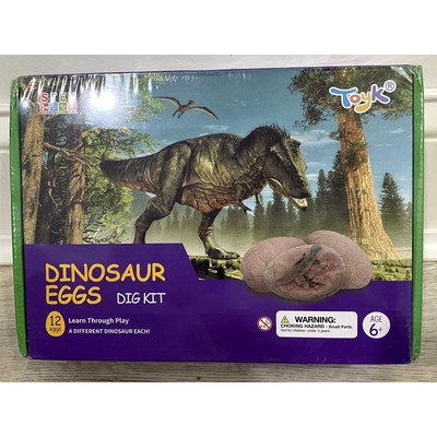 12 Dinosaur Eggs Dig Kit learning Exercise Toy for Kids