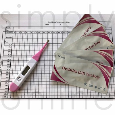 Digitale ovulatiethermometer Celsius + vruchtbaarheidstabel +30 Ovulatietesten