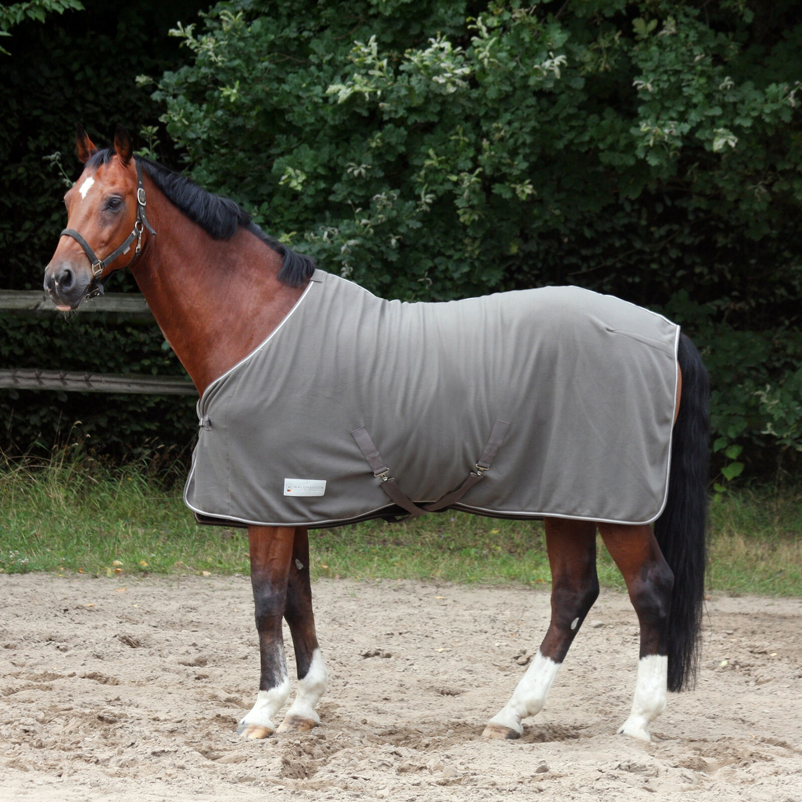Horse blanket. Ткань нейлон с лошадьми. Horse blanket. Horse blanket. Horse blanket glron.