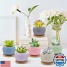 6 Pack Ceramic Succulent Pots with Drainage – Small Round Planters for Indoor Plants and Cactus, Mini Flower Pots with Bamboo Trays, Desk and Home Décor, Gift for Plant Lovers, Office, Balcony, Garden
