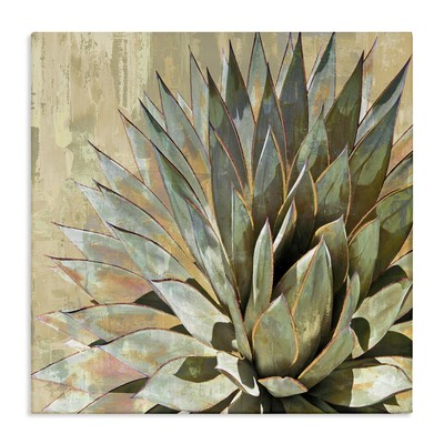 Green Painted Botanical Succulent Agave Leaves, Design By Lindsay Benson, Can...